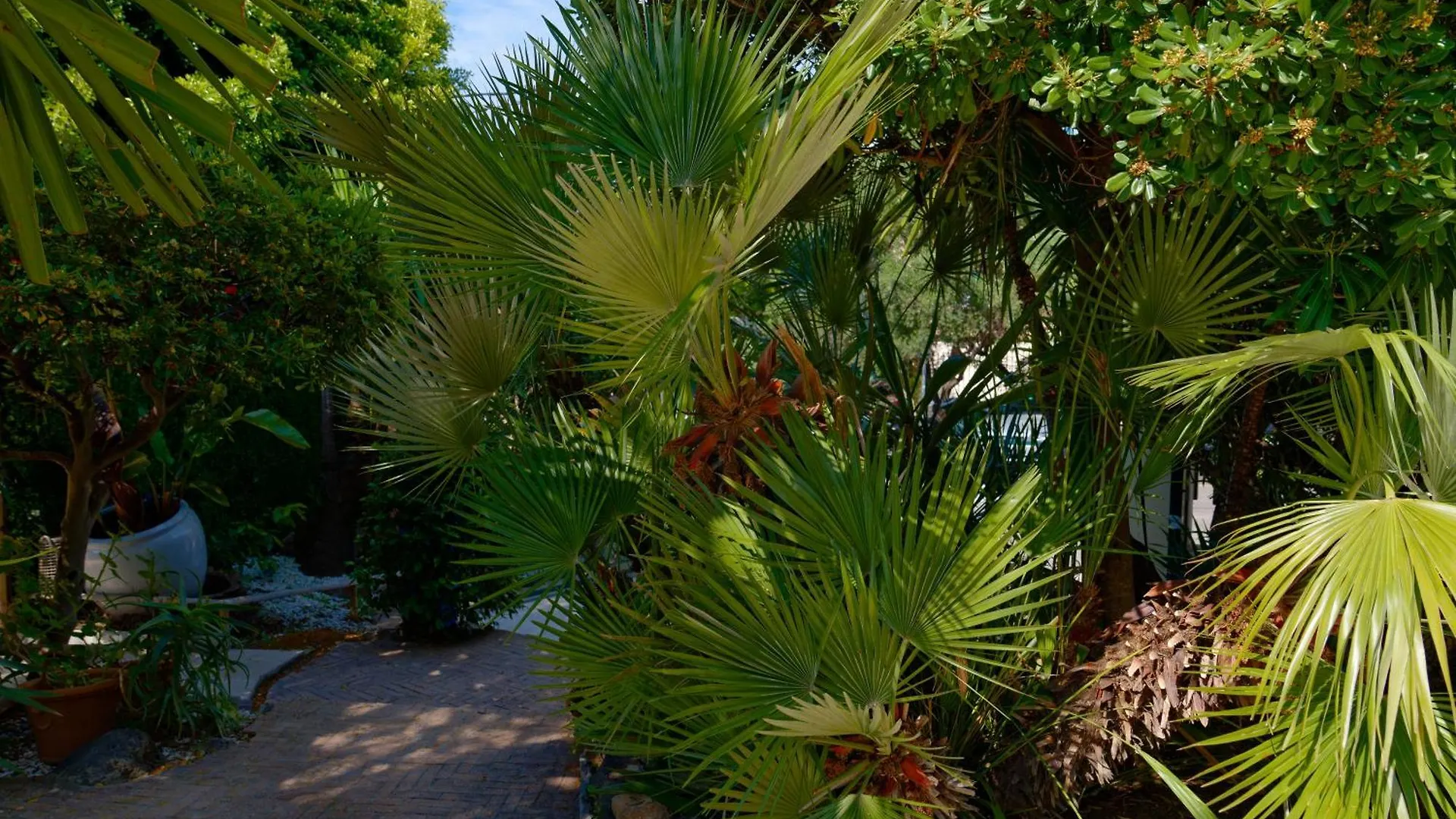 Hotel La Garoupe-Gardiole Antibes